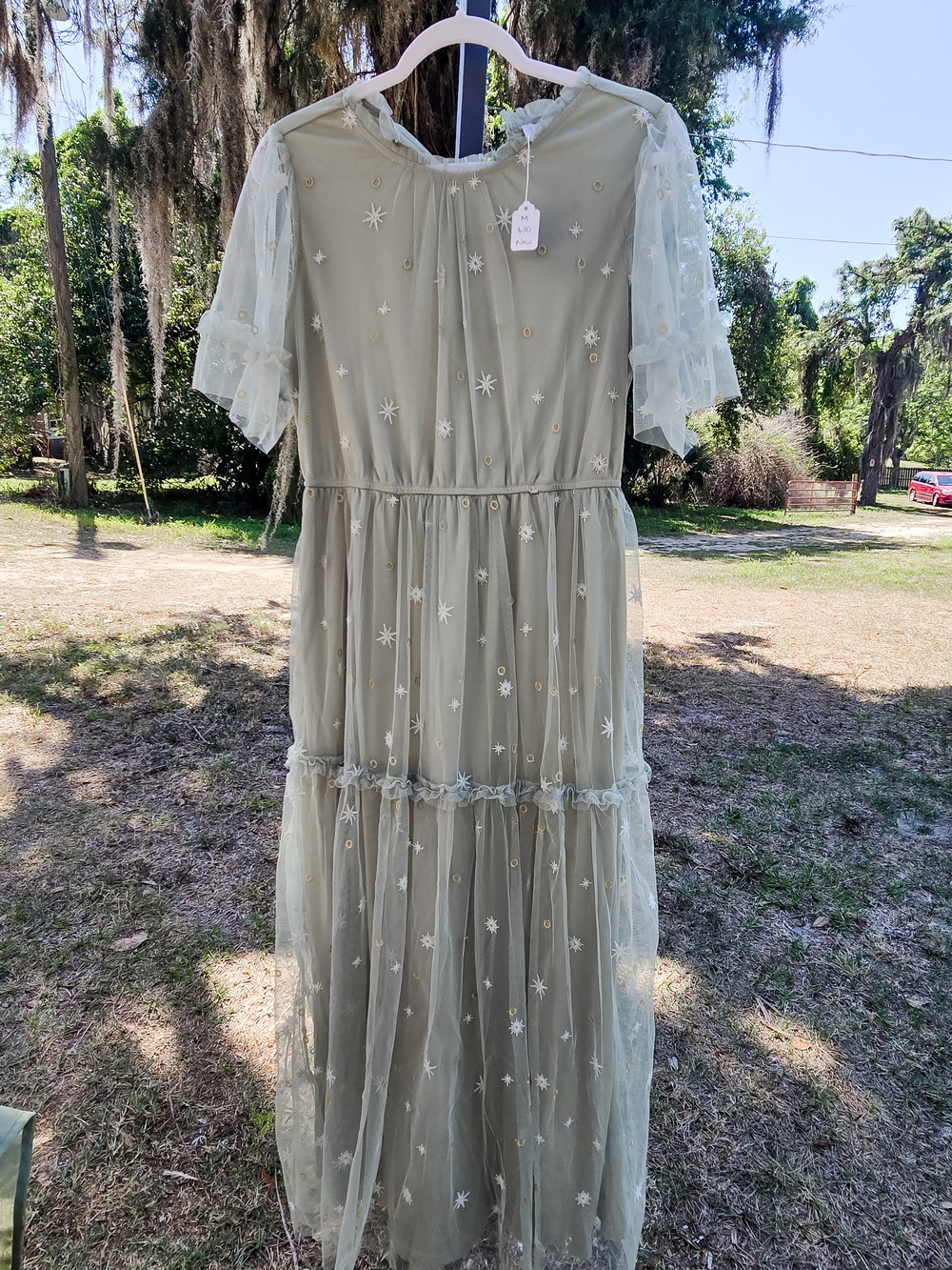 Embroidered Star Mesh Maxi Dress in Sage Green